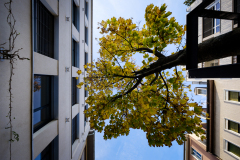 Fotograf: André Wagenzik, Quba, Quartierzentrum Bachletten